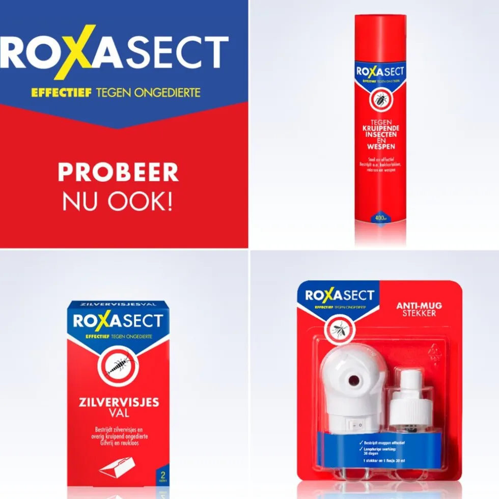 Roxasect Spuitbus tegen Vliegende Insecten