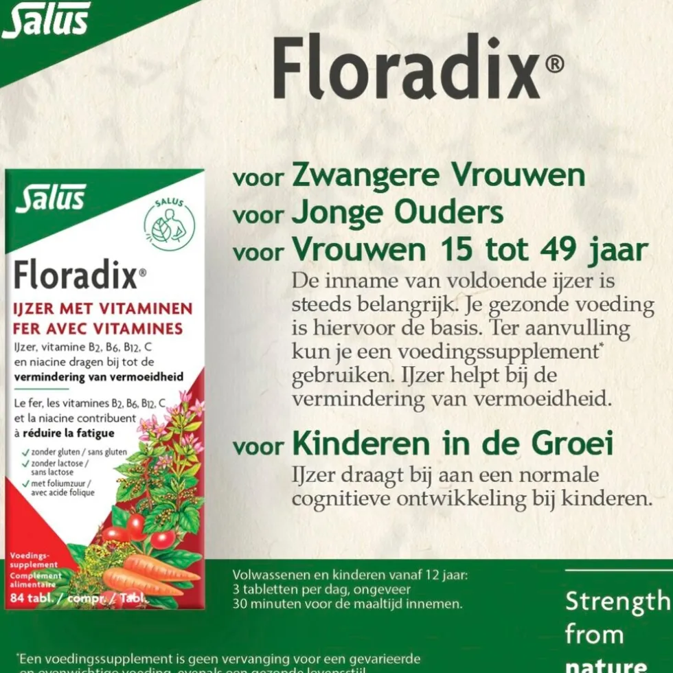 Salus Floradix Ijzer Tabletten