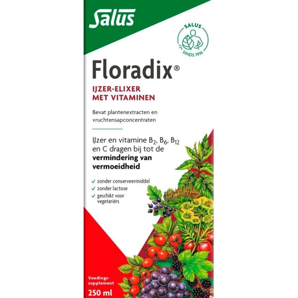 Salus Floradix Vloeibaar IJzer-Elixer