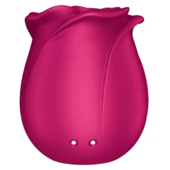 Satisfyer Pro 2 Classic Blossom Air Pulse Vibrator