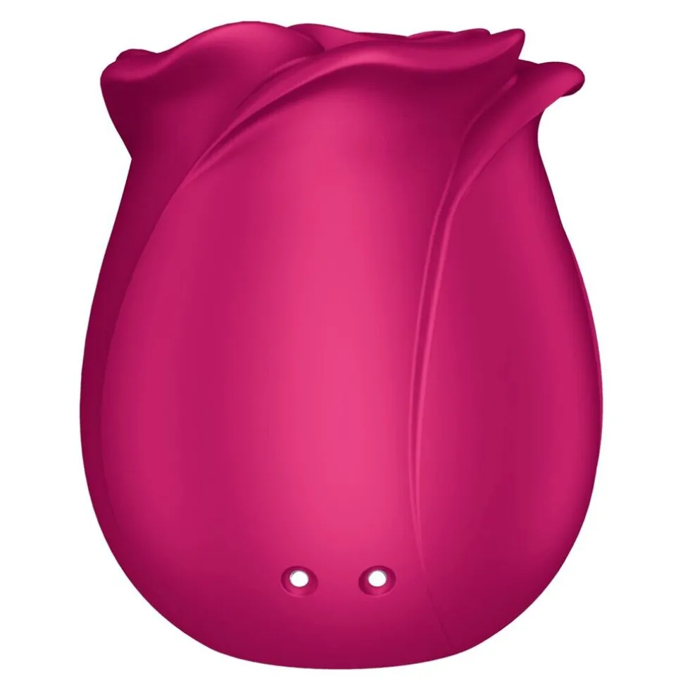 Satisfyer Pro 2 Classic Blossom Air Pulse Vibrator