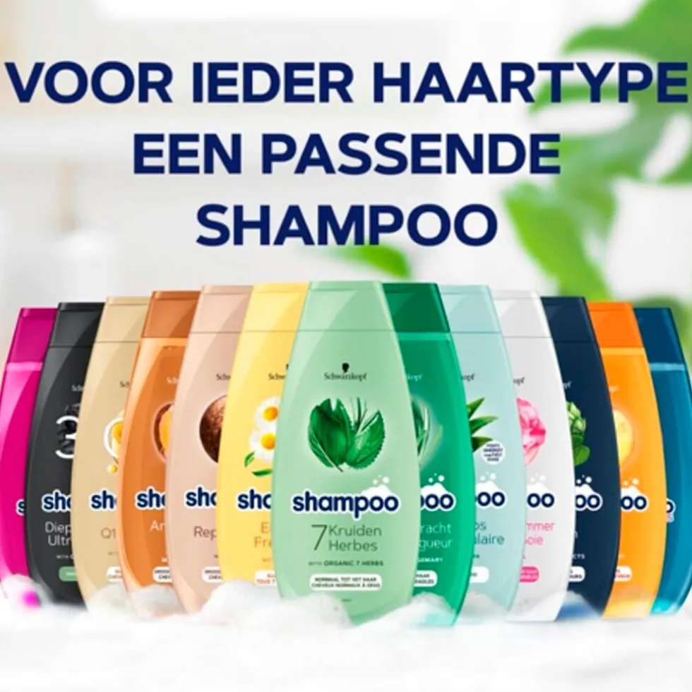 Schwarzkopf Argan Oil & Repair Shampoo