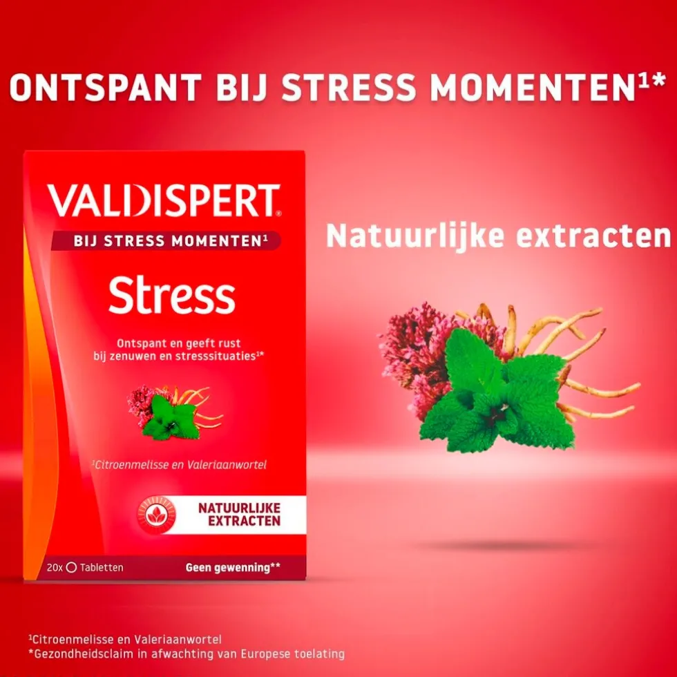 Valdispert Stress Moments Tabletten