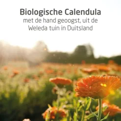 Weleda Baby Calendula Bodymilk
